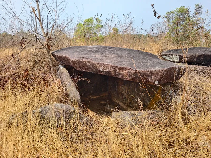 One of several Nannangadi dolmens at a megalithic site in Pazhayannur