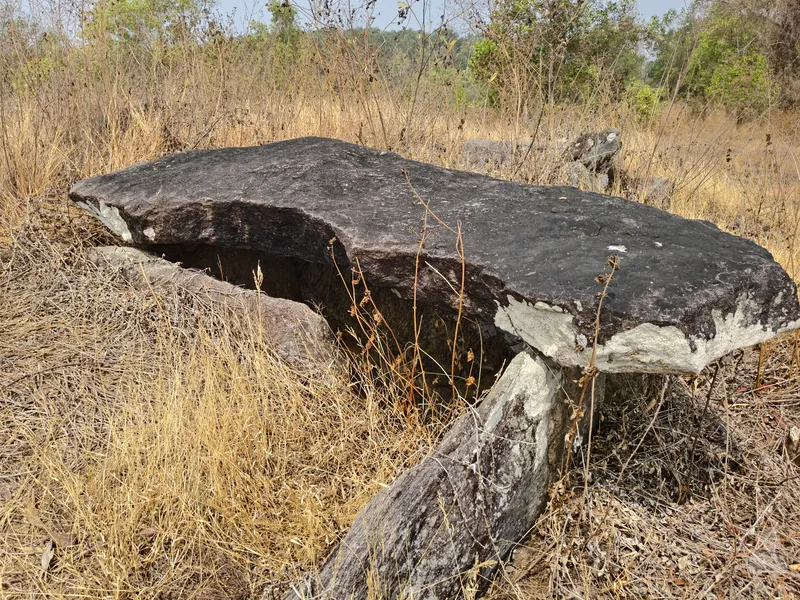 One of several Nannangadi dolmens at the site, Pazhayannur