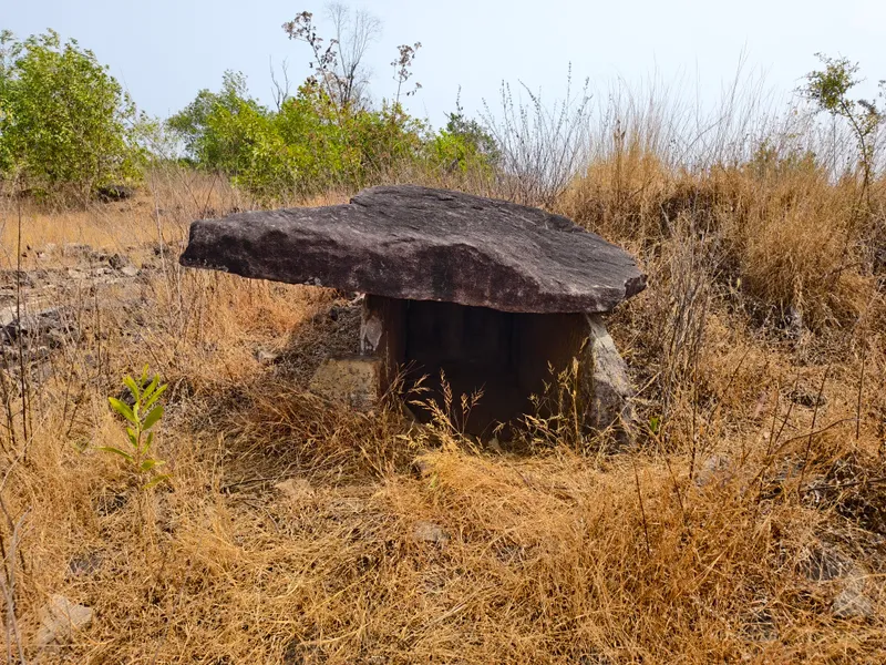 One of several Nannangadi dolmens at the site, Pazhayannur